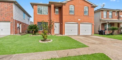 13434 Venice Villa Lane, Sugar Land