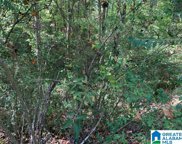 Cliff Springs Road, Oneonta image