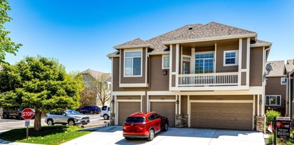 1420 Carlyle Park Circle, Highlands Ranch