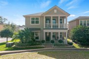 1721 Hammock Park Way, Ocoee image