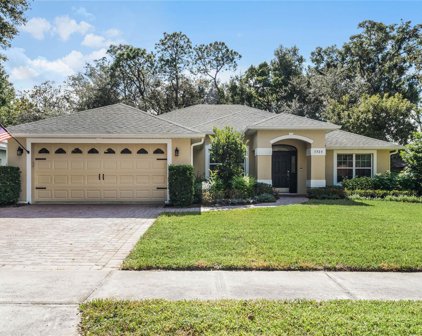 1720 Stoneywood Way, Apopka
