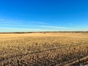 Luseland 1,573 Acres Grain Farmland, Heart's Hill image