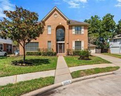 20510 Shadow Mill Court, Katy