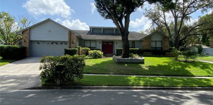 943 Red Dandy Drive, Orlando