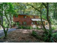 40460 SE CEDAR CREEK RD, Sandy image