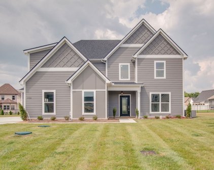 1735 Dayflower Drive, Murfreesboro