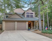 30 TWISTED BIRCH PLACE CT Court, The Woodlands image