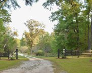 2133 Scanawah Trail, Edisto Beach image