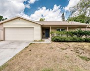 11222 Fiddlewood Drive, Riverview image