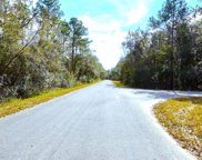 TBD Sequoia Drive Court, Ocklawaha image