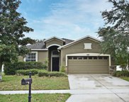 5729 Quinton Way, Mount Dora image
