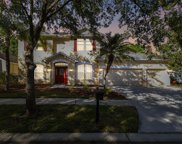 16159 Colchester Palms Drive, Tampa image