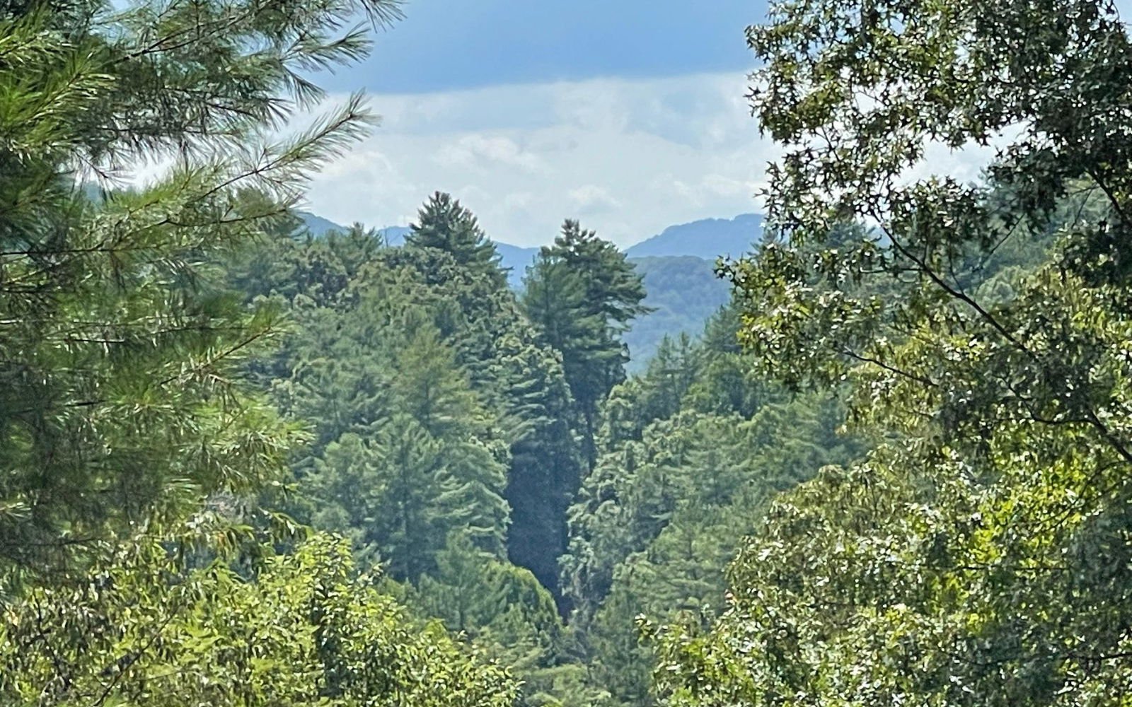 LT 71 Fires Creek Cove Road, Hayesville, 28904