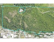 48244 Laurel Butte DR, Oakridge image