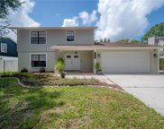 5006 Country Hills Drive, Tampa image