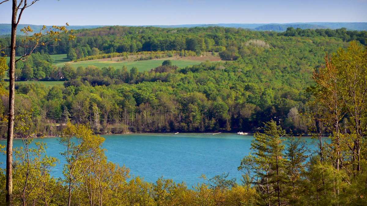 Lot 9 Vistas Of Walloon Unit 9, Walloon Lake, 49770