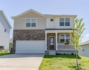 10403 Cedar Meadows Ct, Louisville image