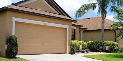 9139 Tivoli Chase Drive Drive, Orlando