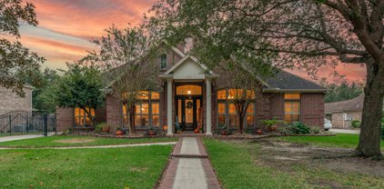 7675 Myrtle Beach, Beaumont