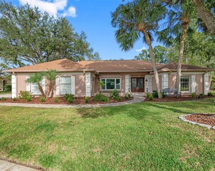 18507 Putters Place, Tampa