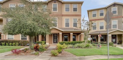 10005 Town Lake Drive, Orlando