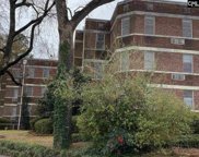 611 Waccamaw Avenue Unit 13, Columbia image