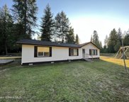 254 Whitetail, Kingston image