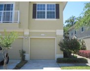 6759 Breezy Palm Drive, Riverview image