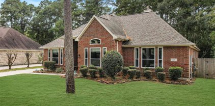 2251 Deer Cove Trail, Kingwood