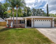 2661 Knoll Street E, Palm Harbor image