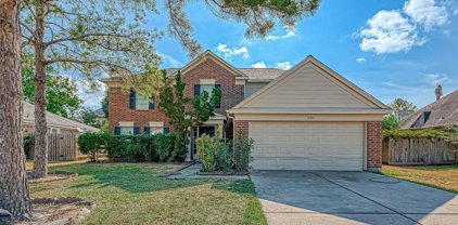 8911 Boulder Springs Drive, Houston