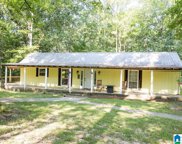 566 Prophecy Lane, Springville image