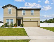 15878 Surfbird Court, Mascotte image