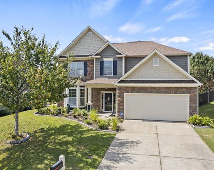 217 Raven Falls Lane, Simpsonville