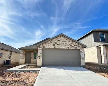 24427 Elmwood Falls Drive, Spring
