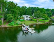 315 Old Landing Court, Chapin image