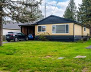 234 Bagshaw  St, Parksville image
