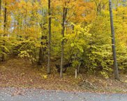 178 Fawn Run Unit 8, Harbor Springs image