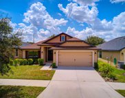 12258 Legacy Bright Street, Riverview image