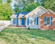 316 Sage Tree, Lexington image