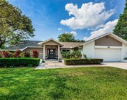 2718 Meadow Wood Drive, Clearwater image