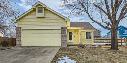 12434 Forest View Street, Broomfield