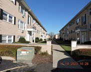 4937 N East River Road Unit #2B, Norridge image