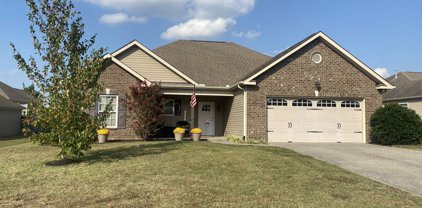 1140 Savannah Ave, Gallatin