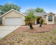 9801 Sunnyoak Drive, Riverview image