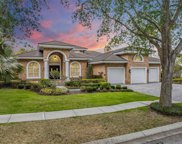 3551 Woodridge Place, Palm Harbor image