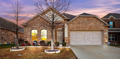 8233 Spruce Meadows  Drive, Fort Worth