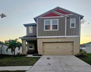 13106 Zolo Springs Circle, Riverview image