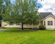 207 Deer Trace Circle, Myrtle Beach image