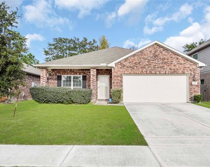 22810 Highland Bluff Lane, Spring